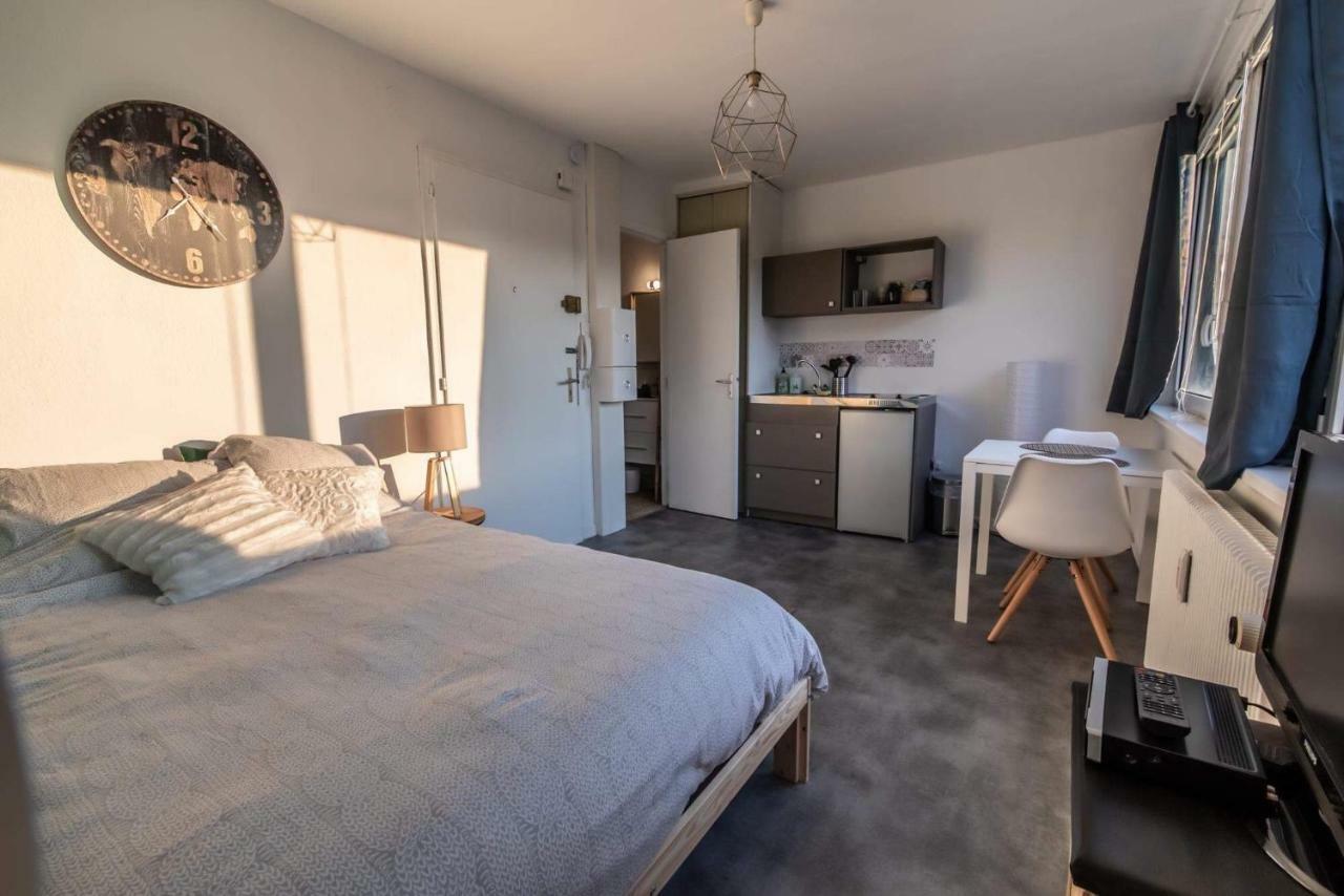 Charmant Lumineux Studio Esplanade Apartment Strasbourg Luaran gambar